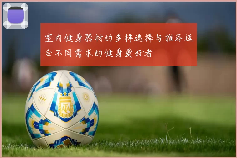 室内健身器材的多样选择与推荐适合不同需求的健身爱好者