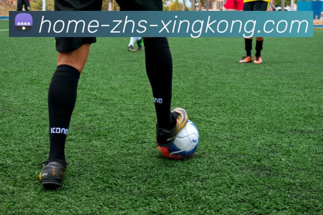 App Interface Preview